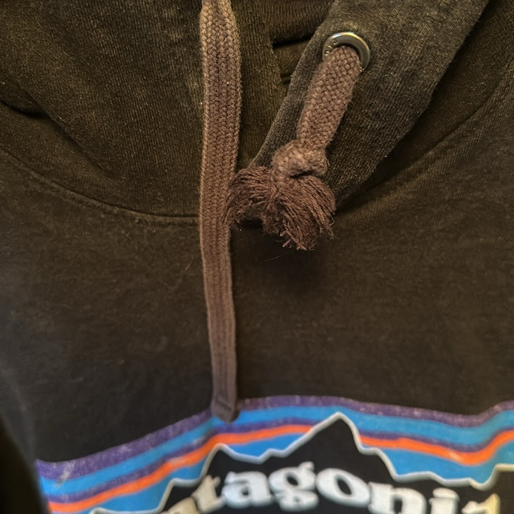 Patagonia Hoodie View 3